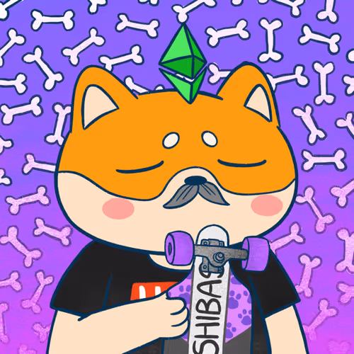 Supershibaclub