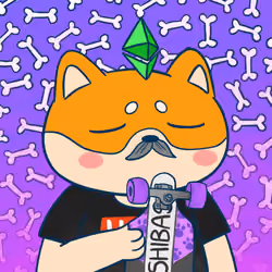 Super Shiba #1765