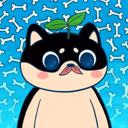 Super Shiba #509