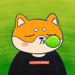 Super Shiba #98