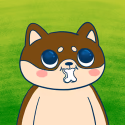 Super Shiba #6286