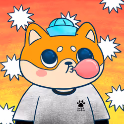 Super Shiba #7154