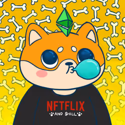 Super Shiba #1566