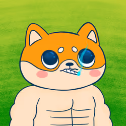 Super Shiba #8362