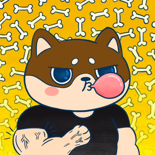 Supershibaclub