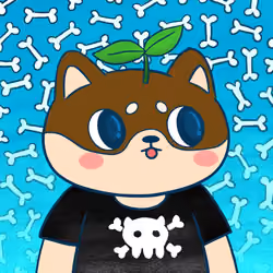 Super Shiba #5092