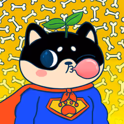 Super Shiba #6407