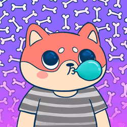 Super Shiba #6430