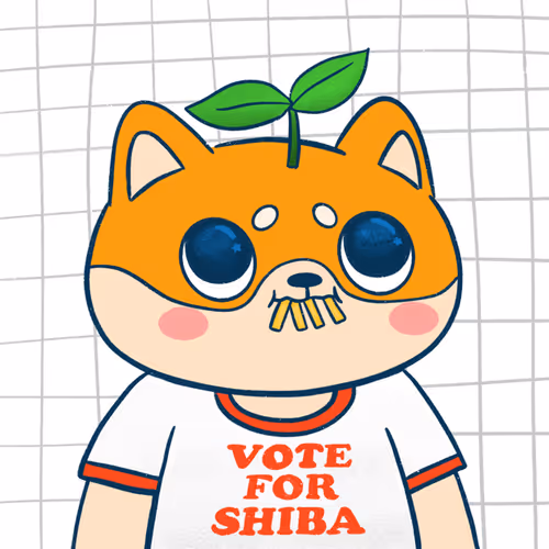 Supershibaclub