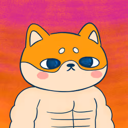 Super Shiba #3122