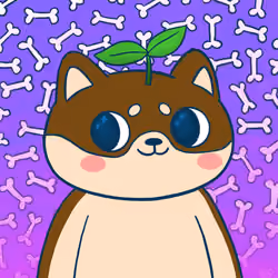 Super Shiba #9662