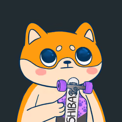 Super Shiba #5705