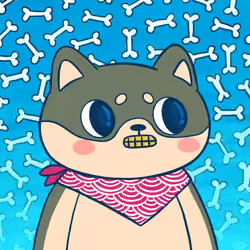 Super Shiba #2267