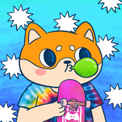 Super Shiba #6118
