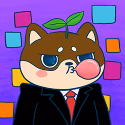 Super Shiba #6924