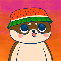Super Shiba #6601