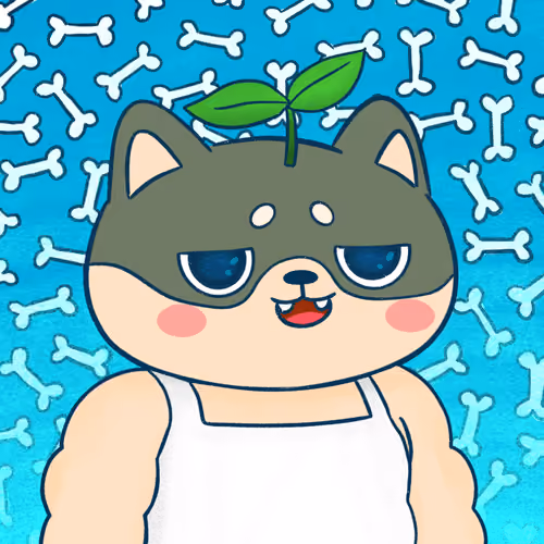 Super Shiba #8658
