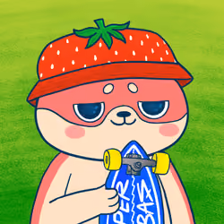 Super Shiba #9500