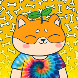 Super Shiba #2542