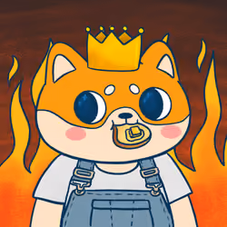 Super Shiba #4268