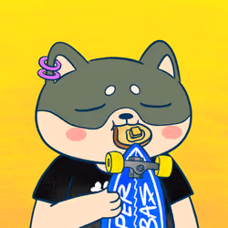 Super Shiba #7375