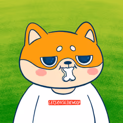 Super Shiba #6054
