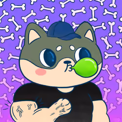 Super Shiba #4438