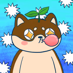 Super Shiba #9166