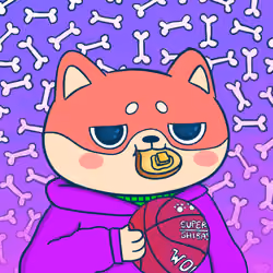 Super Shiba #5576