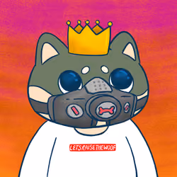 Super Shiba #5194