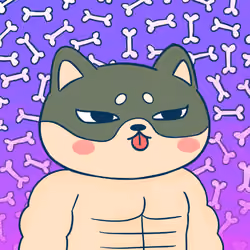 Super Shiba #9175