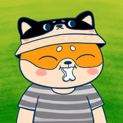 Super Shiba #8020