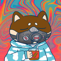 Super Shiba #9177