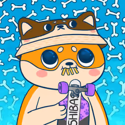 Super Shiba #4763