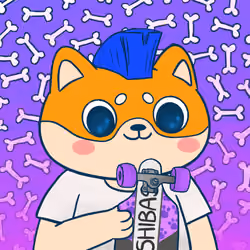 Super Shiba #5803