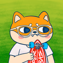 Super Shiba #6399
