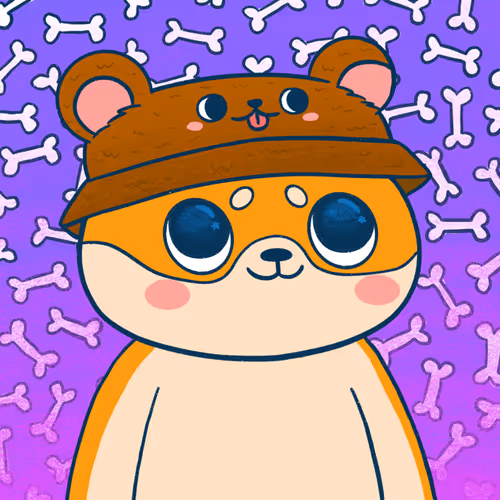 Super Shiba #9998