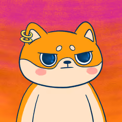Super Shiba #5927