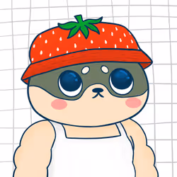 Super Shiba #6598