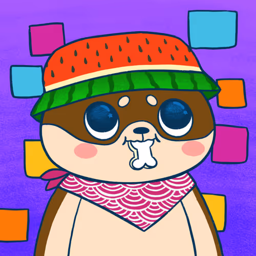 Super Shiba #847