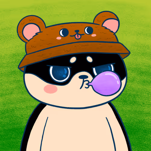 Supershibaclub