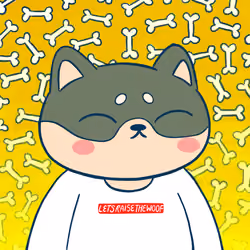 Super Shiba #7750
