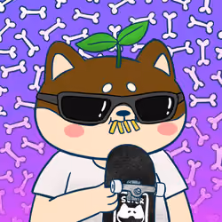Super Shiba #904