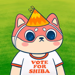 Super Shiba #4247