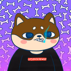 Super Shiba #9348