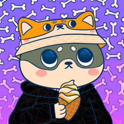 Super Shiba #5774