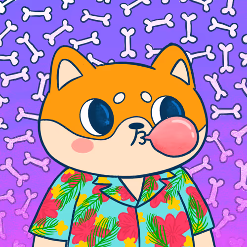 Supershibaclub