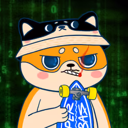Super Shiba #2127