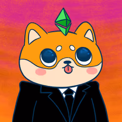 Super Shiba #6599