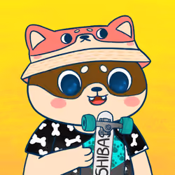 Super Shiba #6572